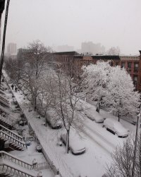 Snow_street
